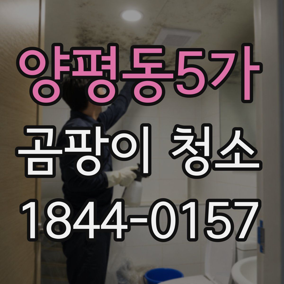 양평동5가 곰팡이 청소