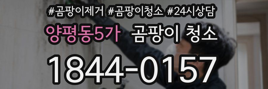 양평동5가 곰팡이 청소