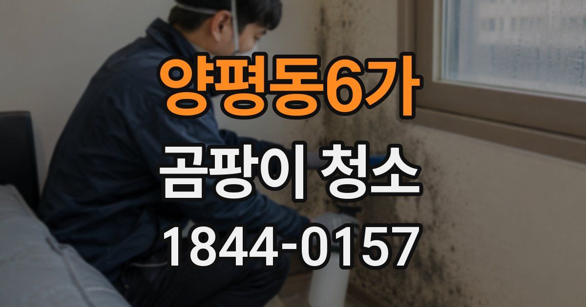 양평동6가 곰팡이 청소