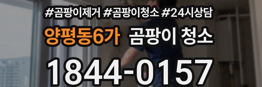 양평동6가 곰팡이 청소
