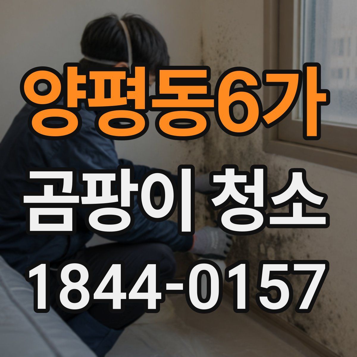 양평동6가 곰팡이 청소