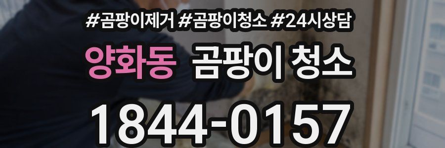 양화동 곰팡이 청소