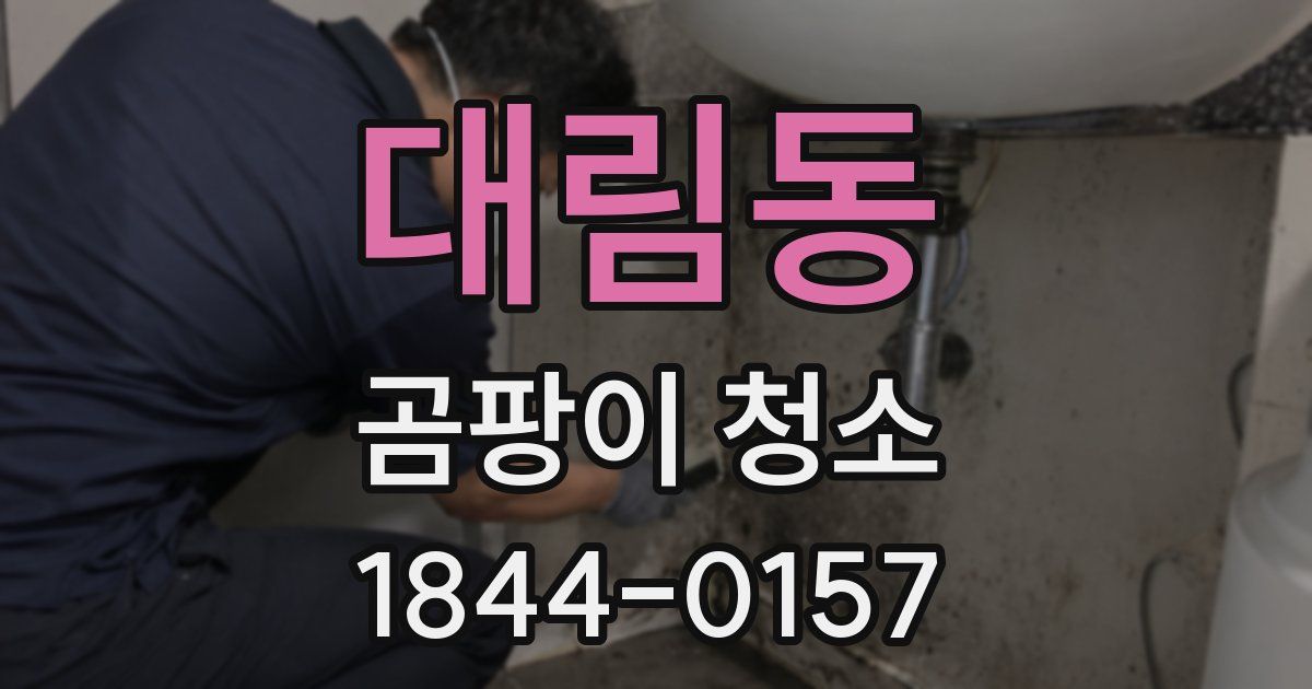 대림동 곰팡이 청소