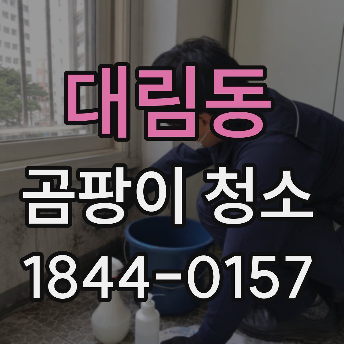 대림동 곰팡이 청소