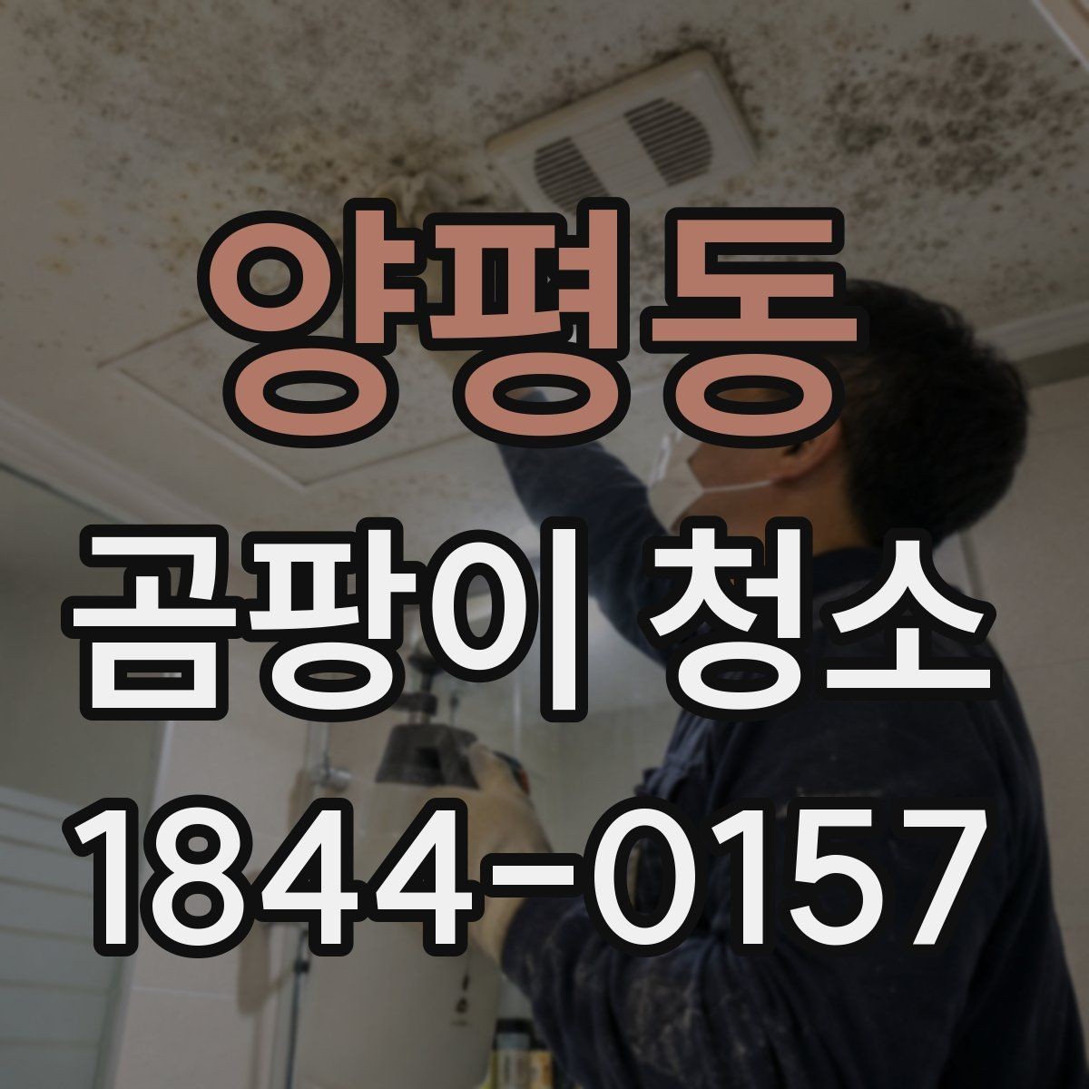 양평동 곰팡이 청소 입주 전 점검해야 할 오염 포인트 정리
