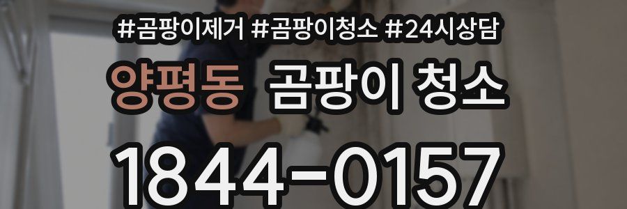 양평동 곰팡이 청소