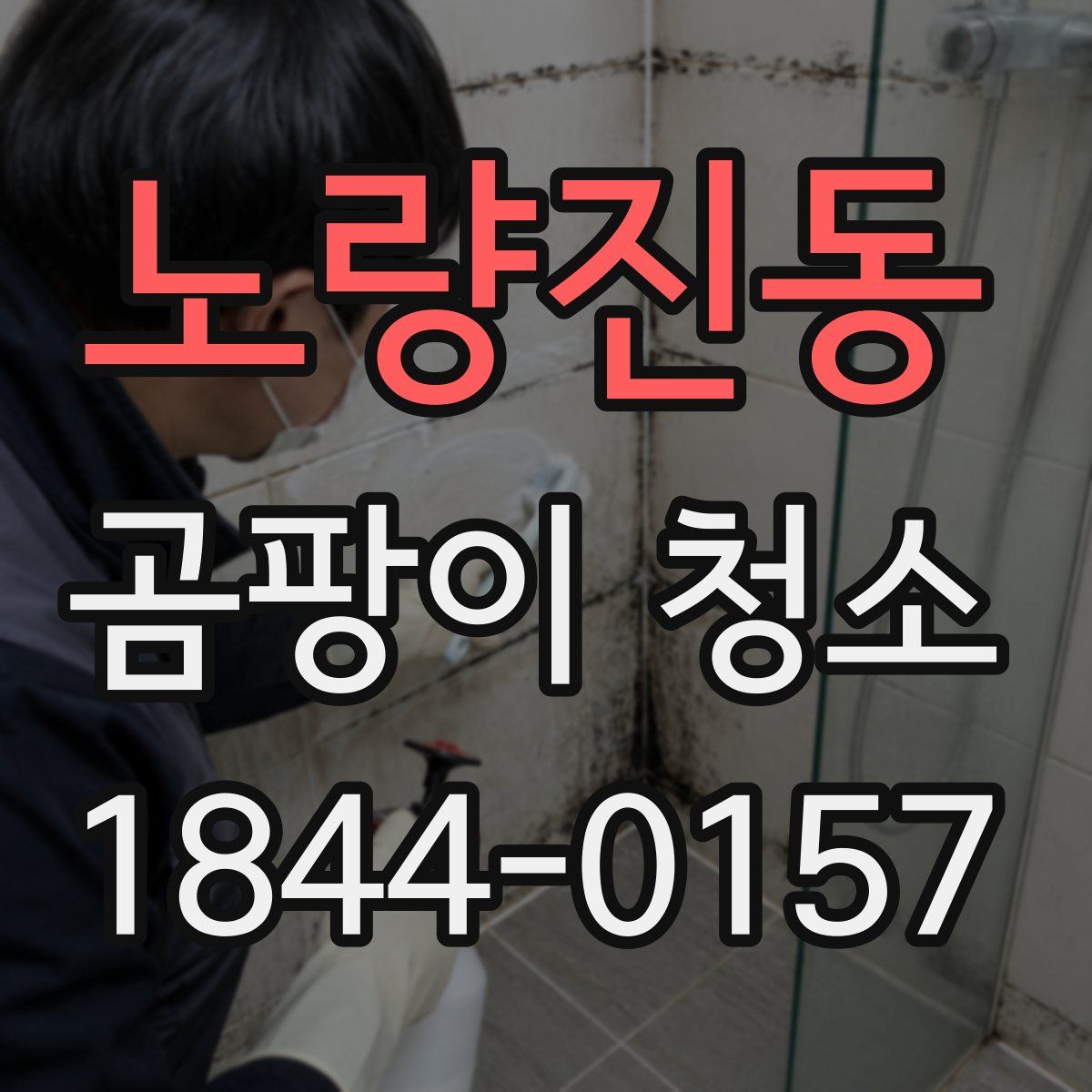 노량진동 곰팡이 청소