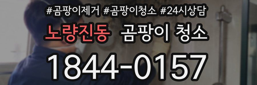 노량진동 곰팡이 청소