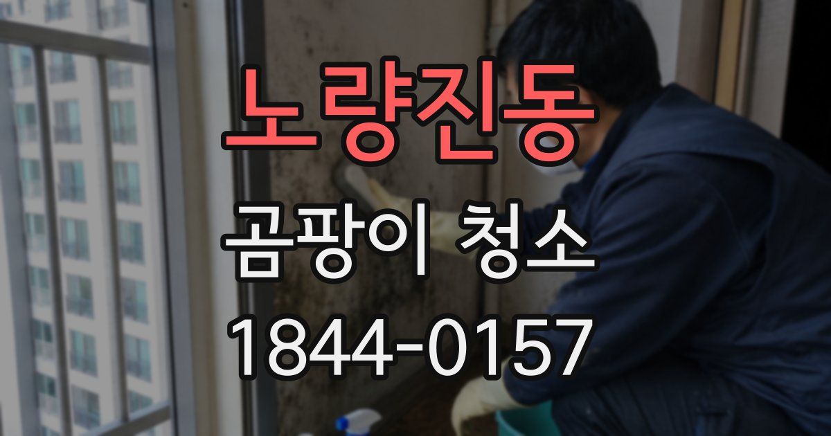 노량진동 곰팡이 청소