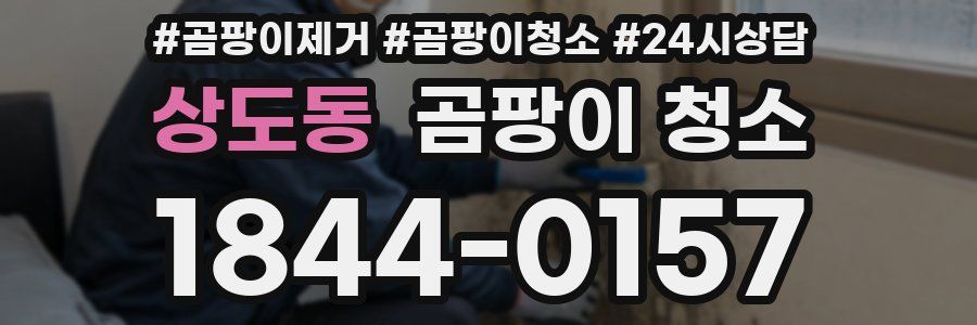 상도동 곰팡이 청소