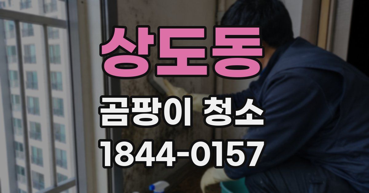 상도동 곰팡이 청소