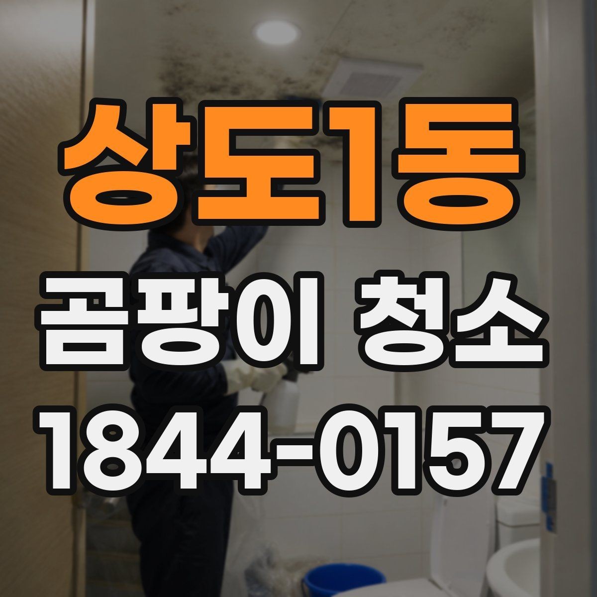 상도1동 곰팡이 청소 환기 부족한 공간에서 먼저 살필 점