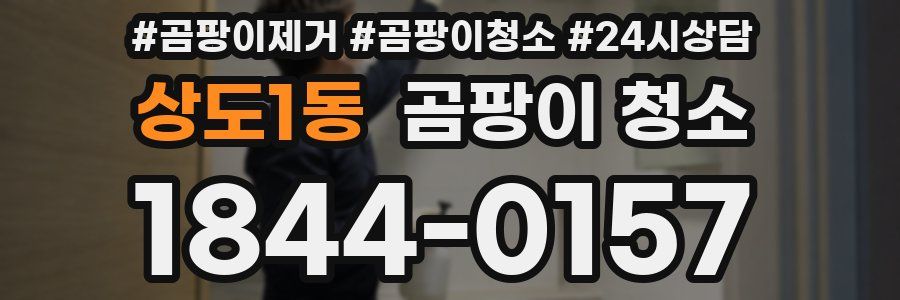 상도1동 곰팡이 청소