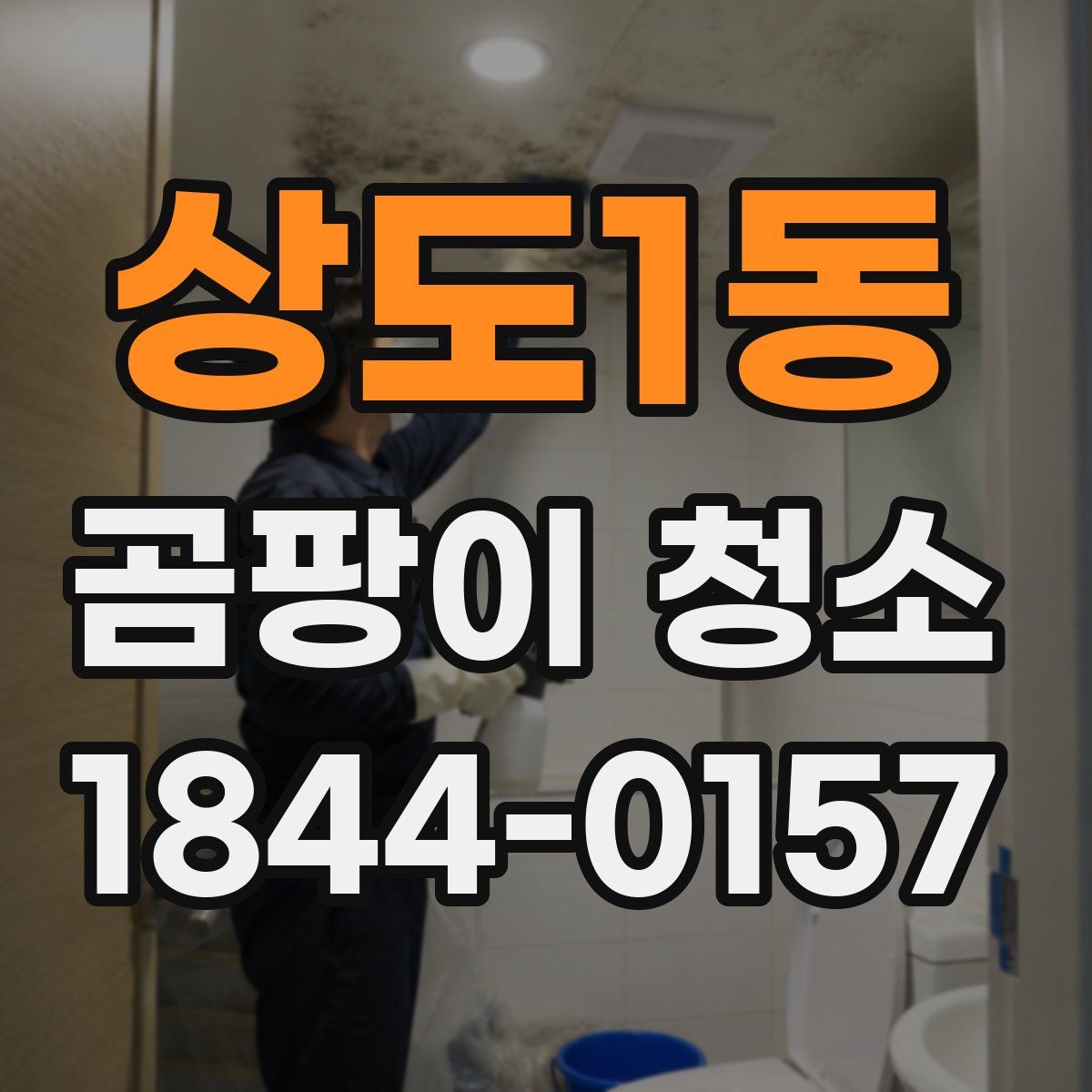 상도1동 곰팡이 청소