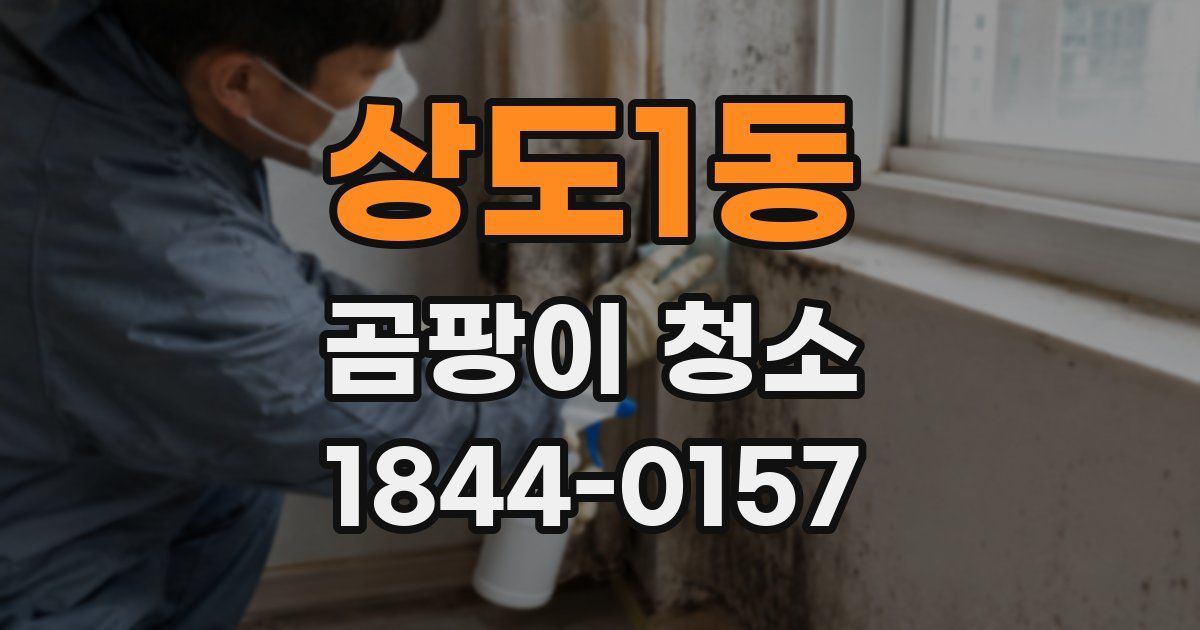 상도1동 곰팡이 청소