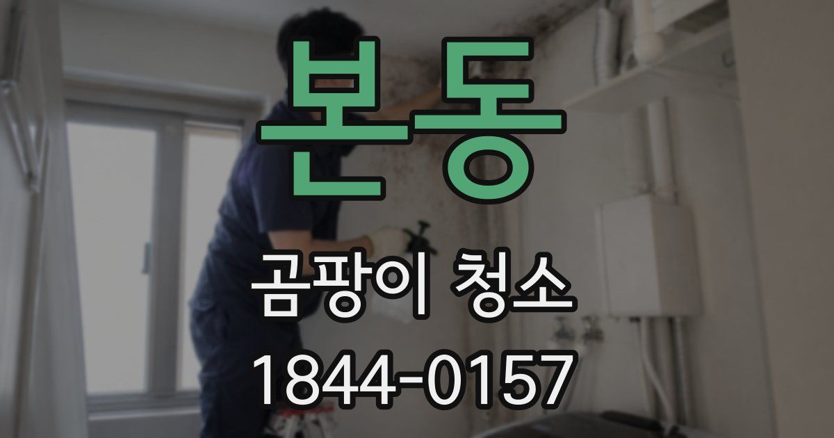 본동 곰팡이 청소