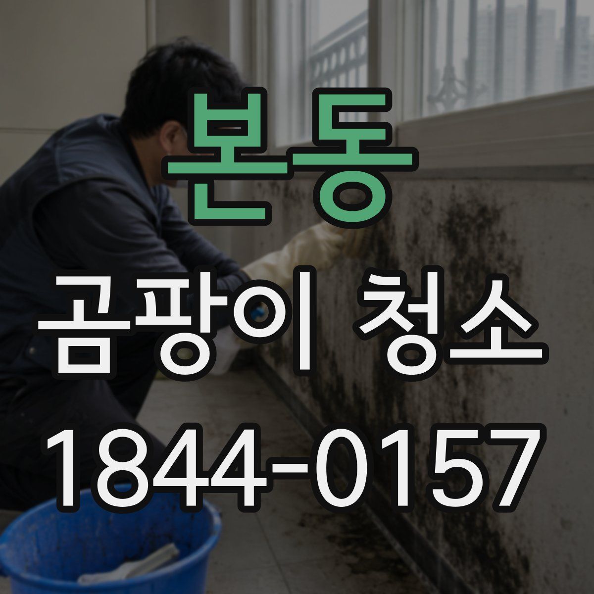 본동 곰팡이 청소
