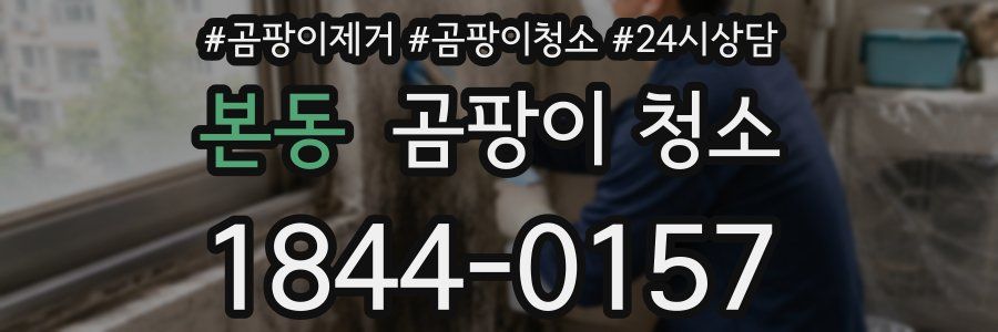 본동 곰팡이 청소