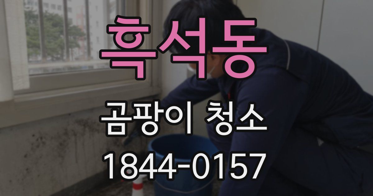흑석동 곰팡이 청소