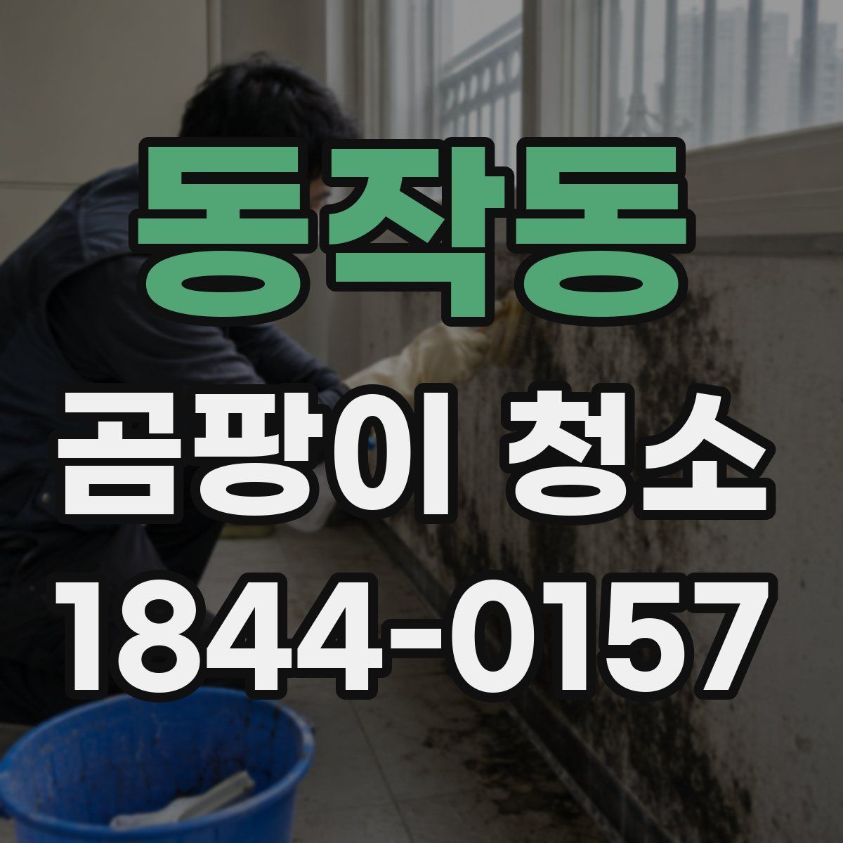 동작동 곰팡이 청소