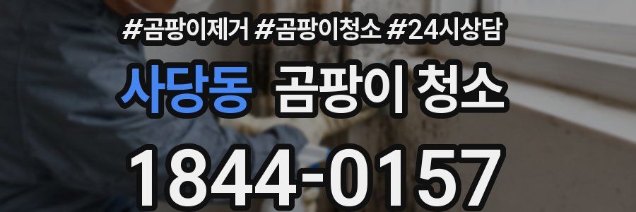 사당동 곰팡이 청소