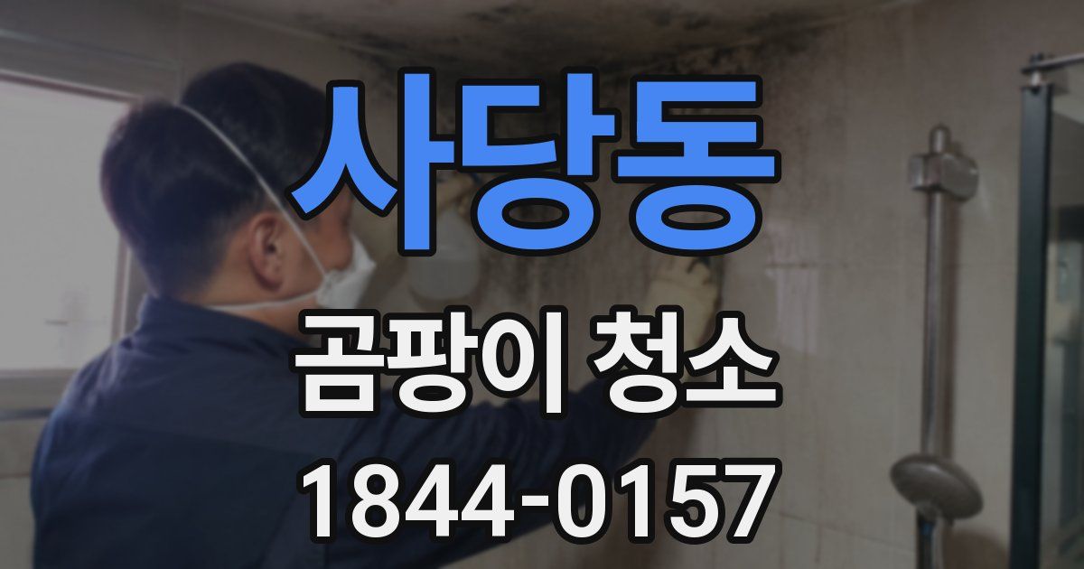 사당동 곰팡이 청소