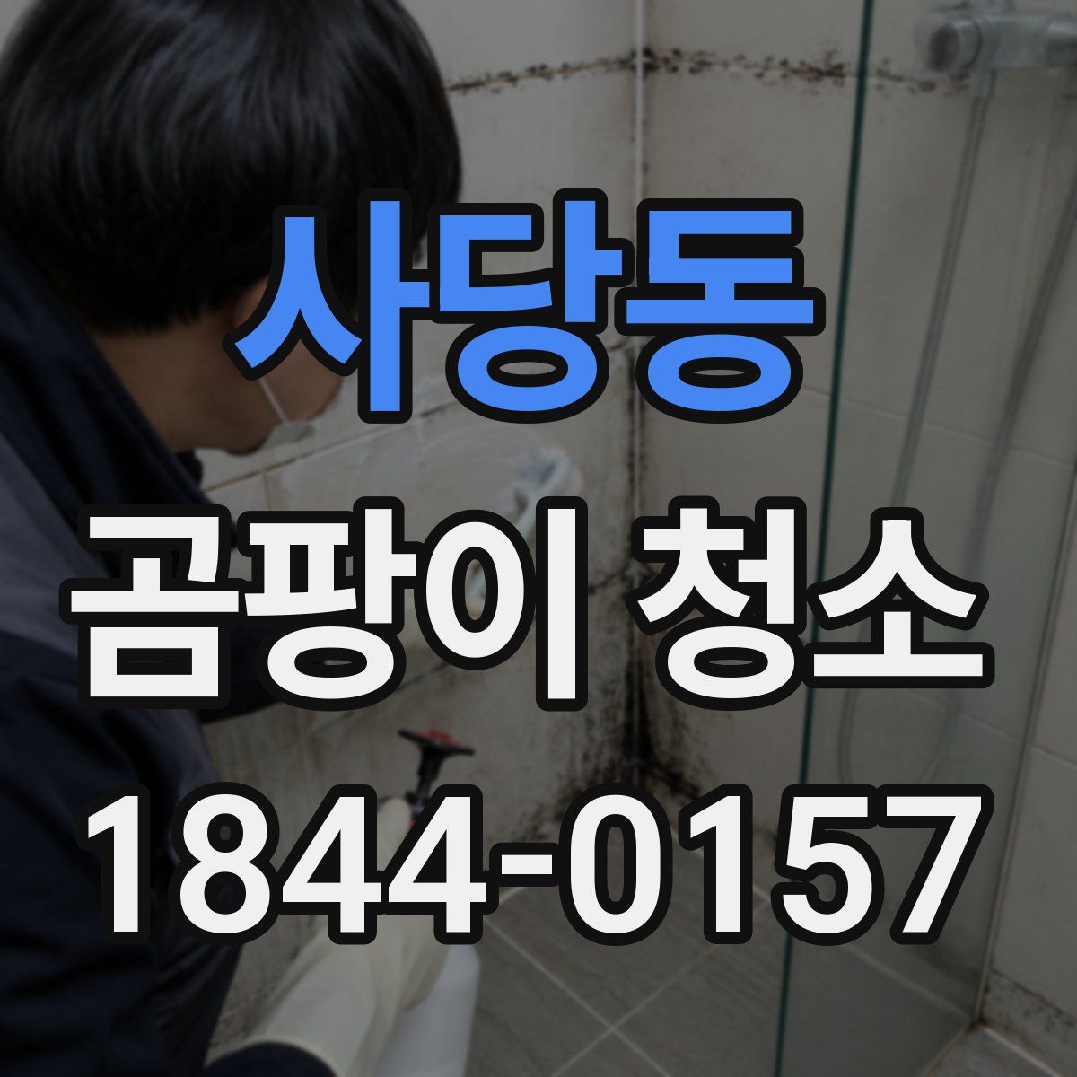 사당동 곰팡이 청소