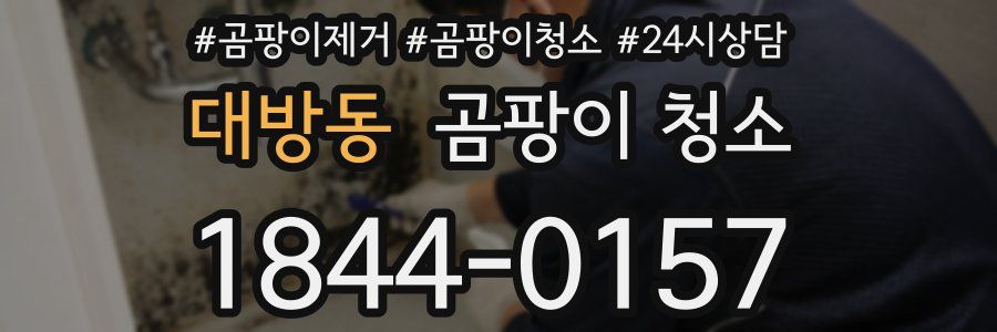 대방동 곰팡이 청소