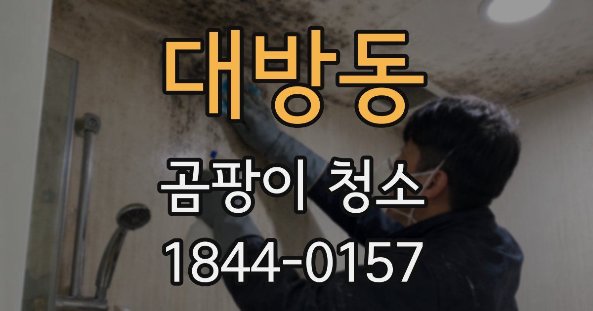 대방동 곰팡이 청소
