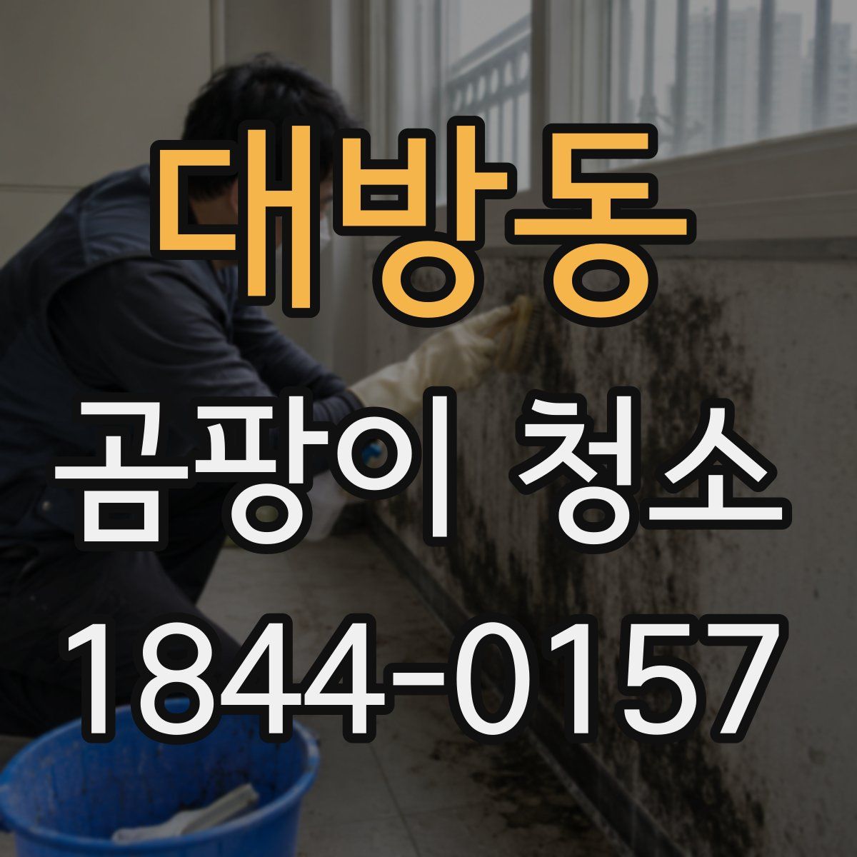 대방동 곰팡이 청소
