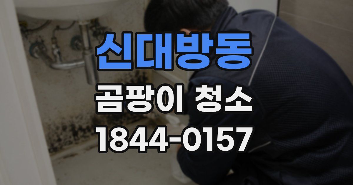 신대방동 곰팡이 청소