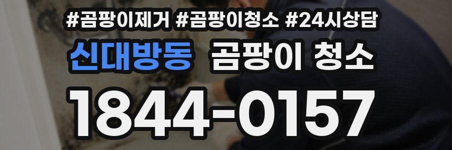 신대방동 곰팡이 청소