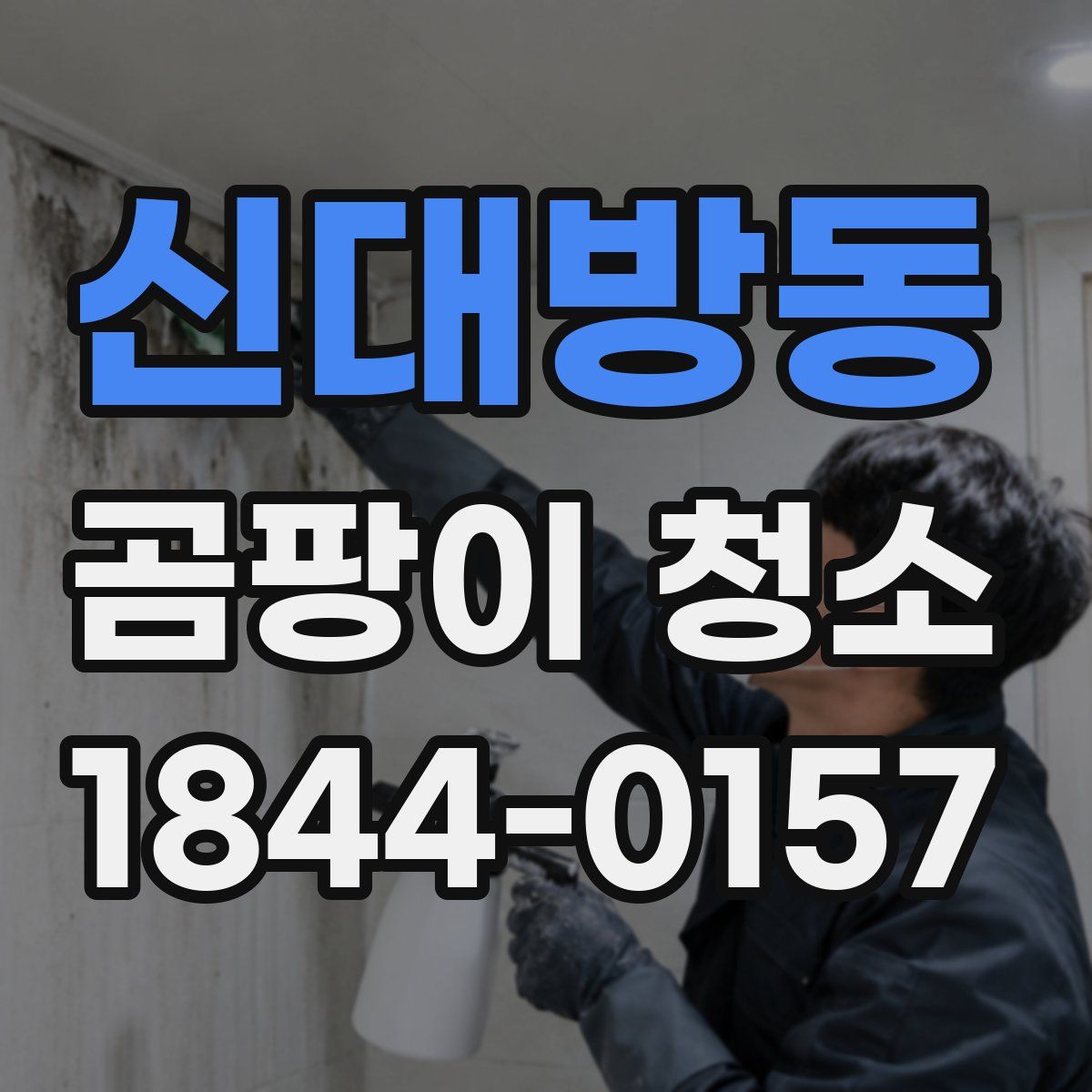 신대방동 곰팡이 청소