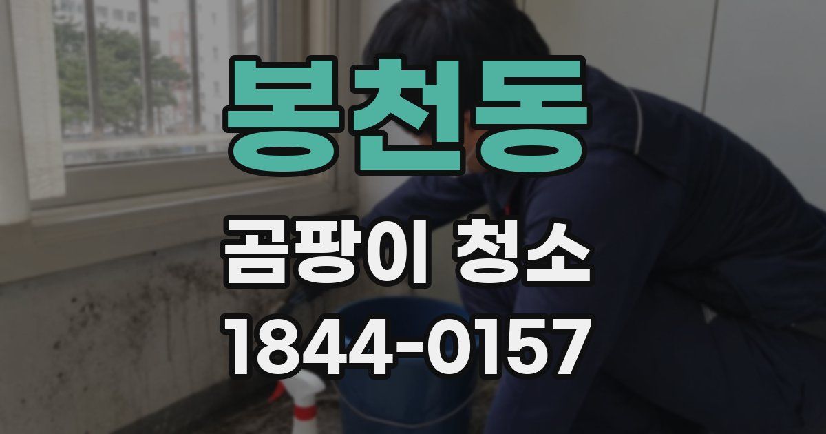 봉천동 곰팡이 청소