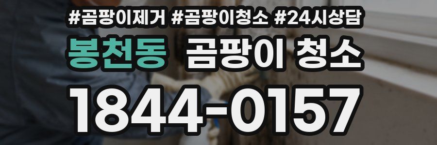 봉천동 곰팡이 청소