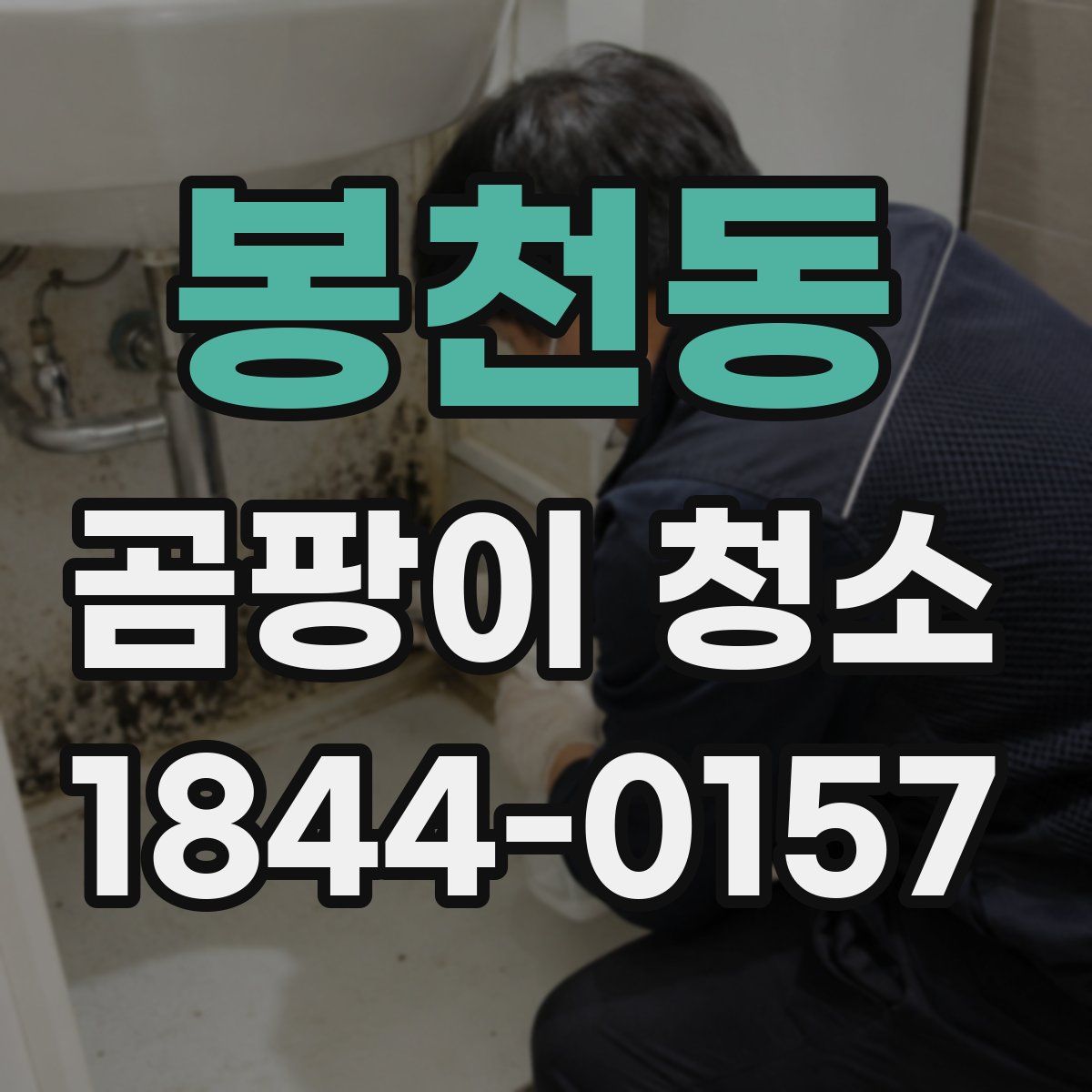 봉천동 곰팡이 청소