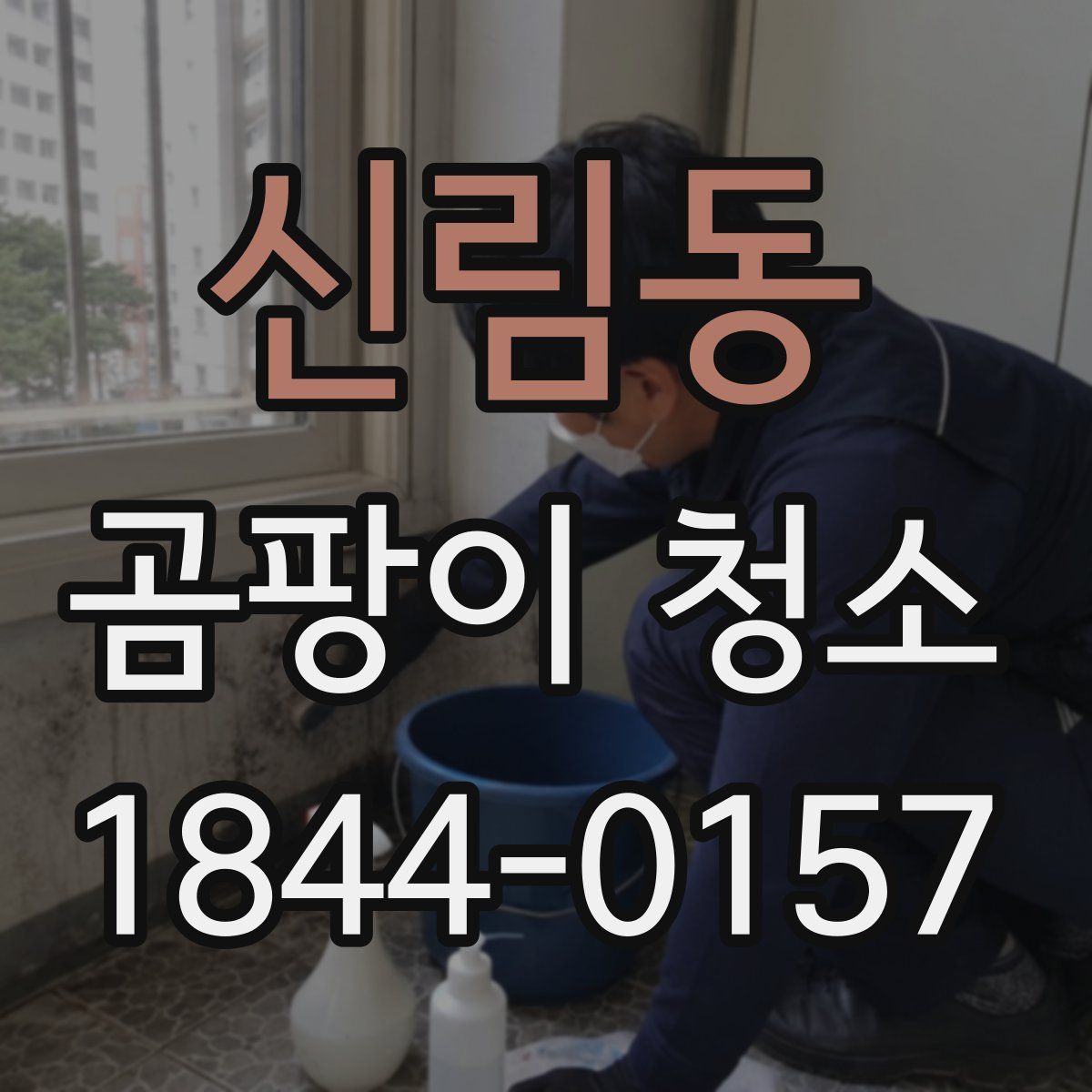신림동 곰팡이 청소