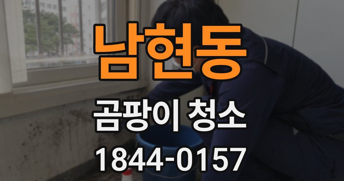 남현동 곰팡이 청소