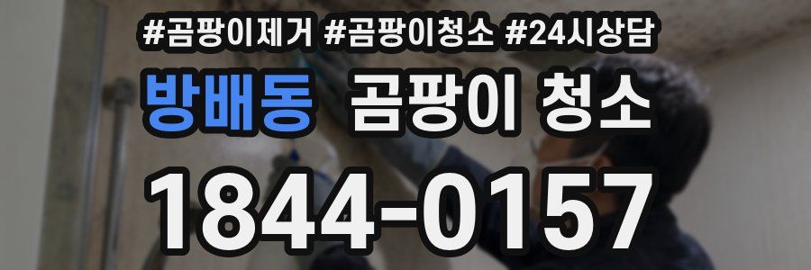 방배동 곰팡이 청소
