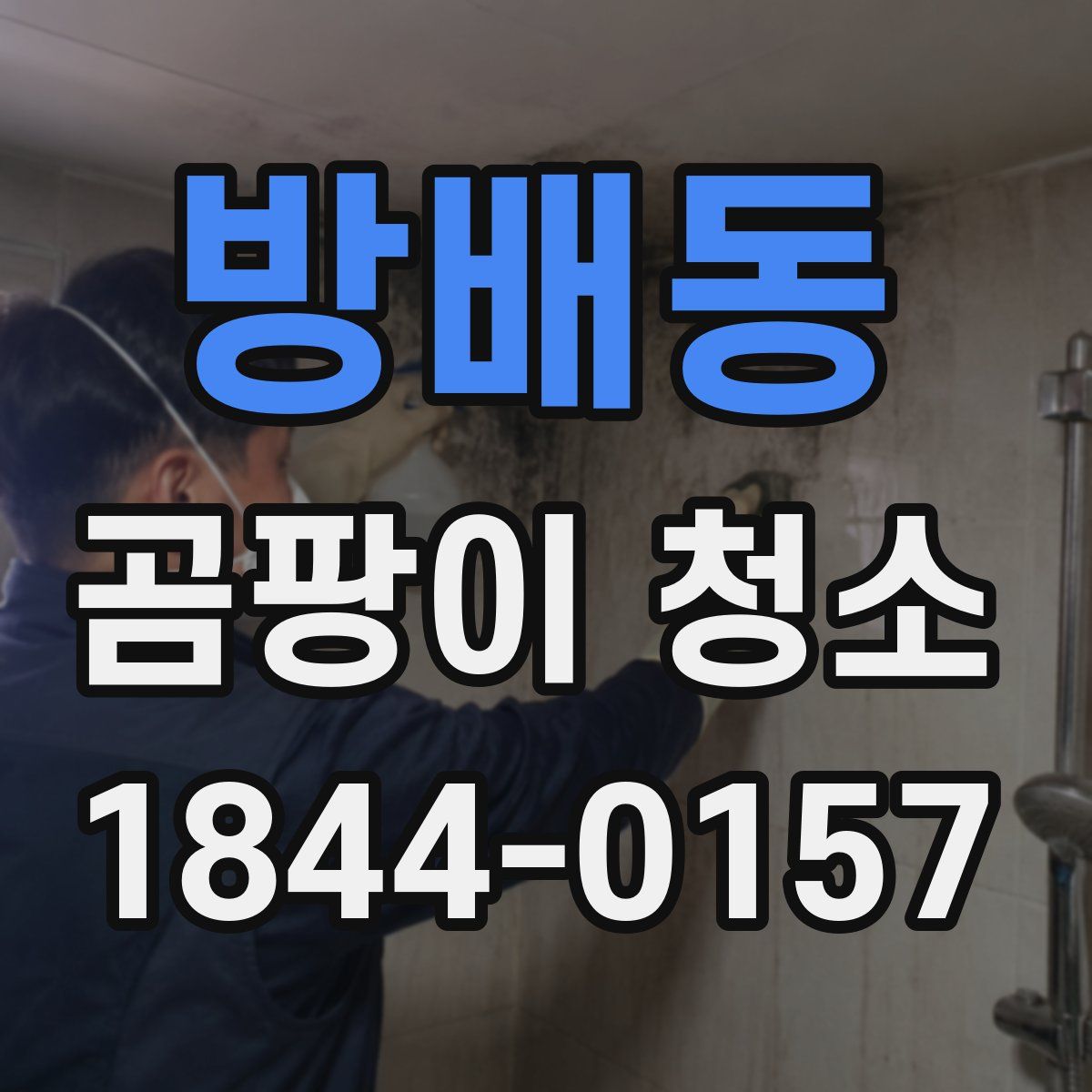 방배동 곰팡이 청소