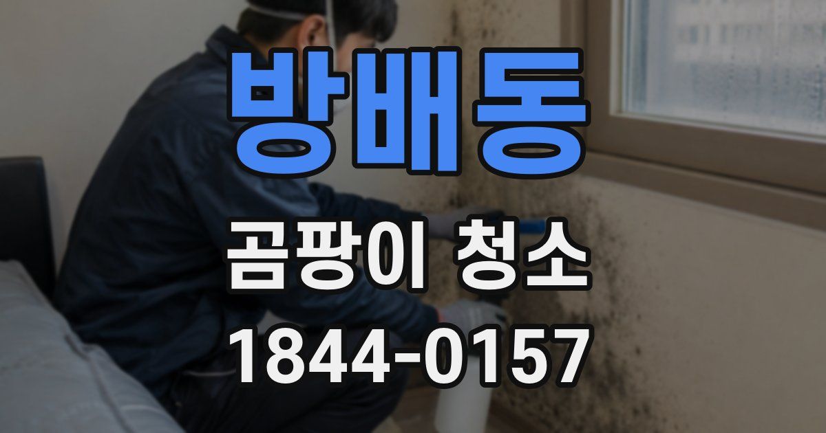 방배동 곰팡이 청소