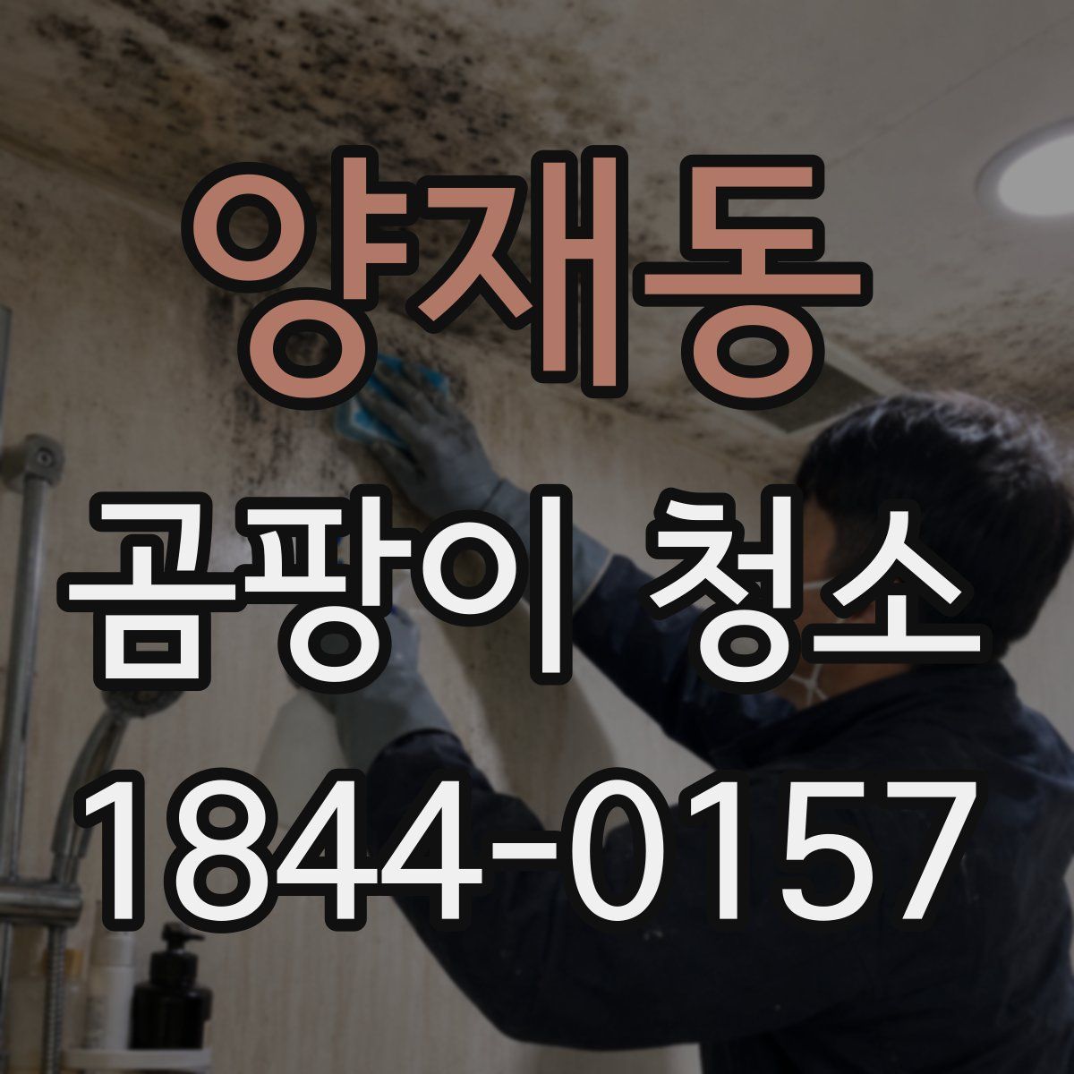 양재동 곰팡이 청소