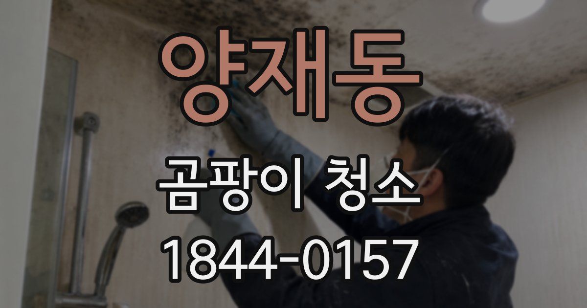 양재동 곰팡이 청소