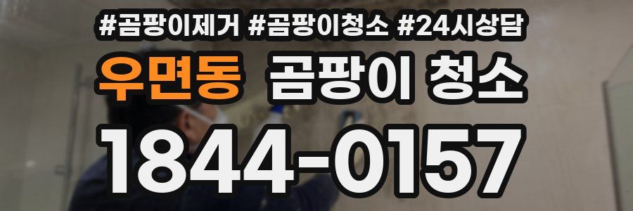우면동 곰팡이 청소