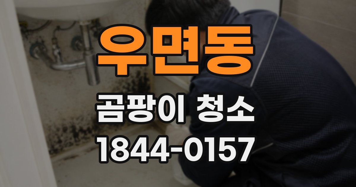 우면동 곰팡이 청소