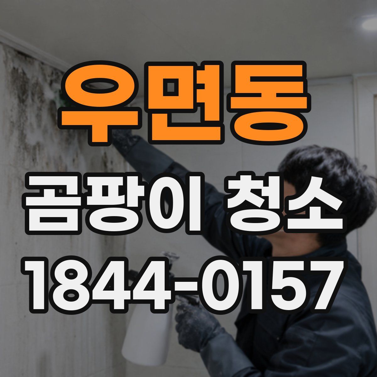 우면동 곰팡이 청소