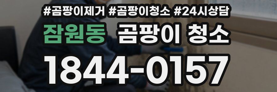 잠원동 곰팡이 청소
