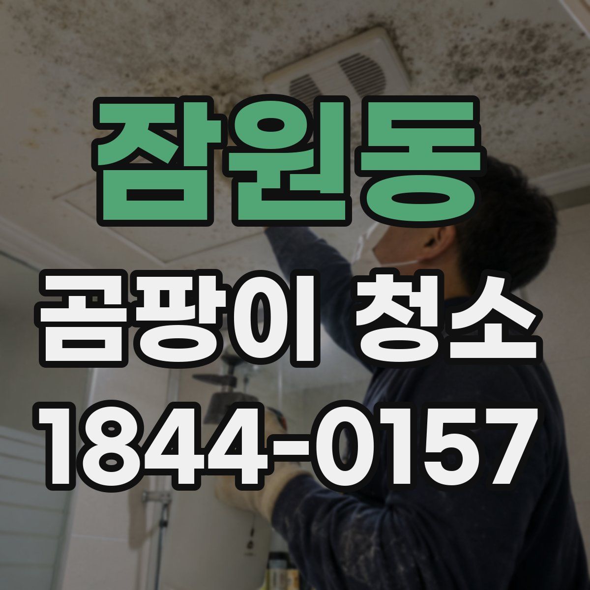 잠원동 곰팡이 청소