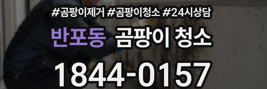 반포동 곰팡이 청소