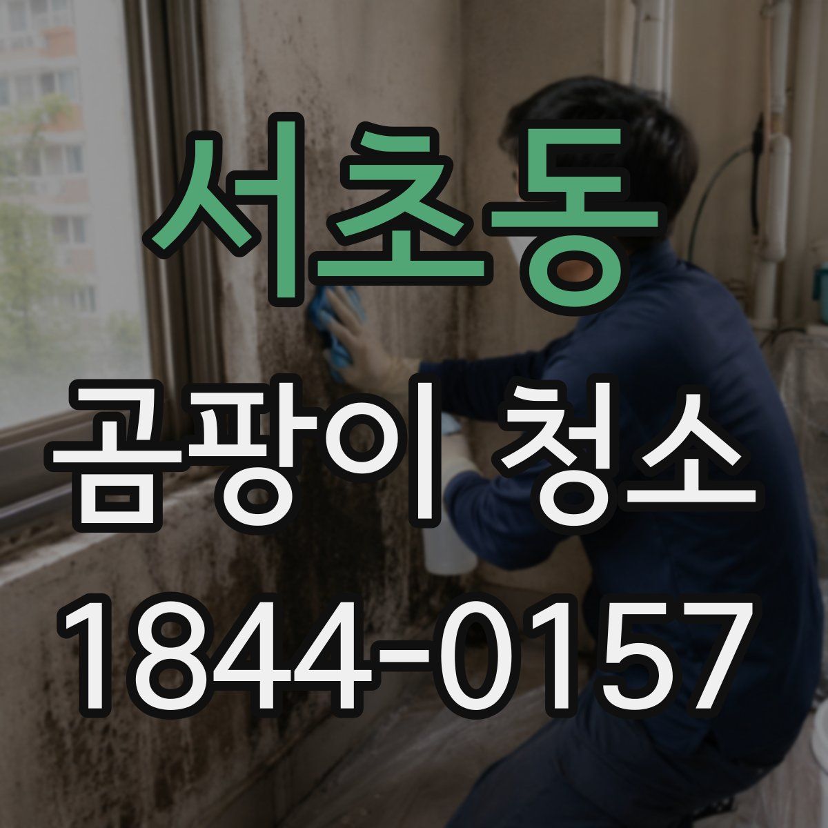 서초동 곰팡이 청소